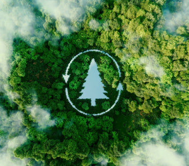 A view of tress from up above with a symbol of a tree for sustainability 
