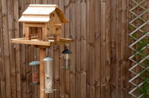 Woodwork Inspiration for Your Next Project