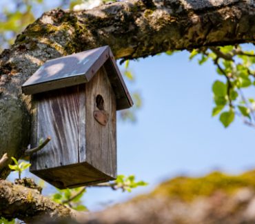 Get More Out of Your Garden with these Woodwork Projects